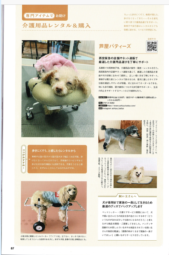 雑誌掲載ページの一例